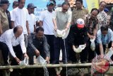 Menteri Kelautan dan Perikanan