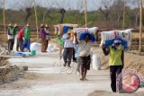 Pekerja mengangkut garam di Desa Tanjung, Pademawu, Pamekasan, Jatim, Rabu (5/11). Menjelang berakhirnya musim olah tahun ini, harga garam kualitas satu (K-1), naik dari Rp. 550 ribu per ton menjadi Rp. 575 ribu per ton, namun harga tersebut masih jauh di bawah harga ketetapan pemerintah sebesar Rp. 750 ribu per ton. ANTARA FOTO/Saiful Bahri/wdy/14.