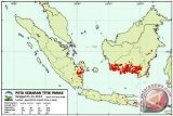Satelit deteksi 12 titik panas di Sumatera