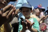 Sejumlah siswa sekolah internasional mengamati tukik penyu hijau (Chelonia Mydas) saat program pelepasliaran hewan langka itu di Pantai Saba, Gianyar, Bali, Rabu (5/11). Sebanyak 80 tukik hasil penangkaran telur penyu di kawasan itu dilepasliarkan ke habitatnya dengan melibatkan lembaga konservasi Bali Zoo, Pemkab Gianyar dan nelayan setempat sekaligus sebagai program edukasi konservasi bagi puluhan anak usia 4-7 tahun dari sekolah internasional. ANTARA FOTO/Nyoman Budhiana/I018/2014.