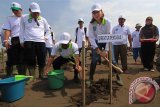 Hari Menanam Pohon Indonesia 