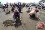 Hari Menanam Pohon Indonesia