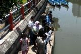 Surabaya (Antara Jatim) - Masyarakat yang datang di tempat wisata Taman Prestasi Surabaya, Melihat ratusan ikan yang dilepas di Sungai Kalimas, Sabtu (1/11). Pelepasan ikan air tawar ini bertujuan untuk menambah habitat baru ikan sepanjang sungai Kalimas. (Foto Abdul Rifai/14/edy)
