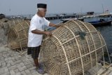 Seorang nelayan saat memeriksa perangkap ikan tradisionalnya yang disebut bubu di kawasan Tanjung Pasir, Kabupaten Tangerang, Banten, Minggu (2/11). Bubu tersebut terbuat dari bambu dan masih dipakai sejumlah nelayan tradisional di Tanjung Pasir karena harganya murah.ANTARA FOTO/Lucky R./ss/pd/14