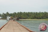 Pantai Pulau Sawi di Kabupaten Ketapang layak disebut Pulau Bidadari karena pemandangan alamnya yang sangat menawan dan kondisi alamnya masih asri. Di perairan pantai Pulau Sawi juga terdapat tempat menyelam melihat karang-karang laut yang masih alami dan terjaga, serta disediakan wisata mancing. Sayangnya sampai saat ini belum ada investor yang mengelolanya sehingga belum optimal menarik wisatawan.  (Foto John)

