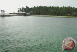 Pantai Pulau Sawi di Kabupaten Ketapang layak disebut Pulau Bidadari karena pemandangan alamnya yang sangat menawan dan kondisi alamnya masih asri. Di perairan pantai Pulau Sawi juga terdapat tempat menyelam melihat karang-karang laut yang masih alami dan terjaga, serta disediakan wisata mancing. Sayangnya sampai saat ini belum ada investor yang mengelolanya sehingga belum optimal menarik wisatawan.  (Foto John)

