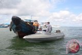 TNI AL Pos Penajam bersama Polairud serta Dishubbudpar Kabupaten Penajam Paser Utara melakukan razia terhadap angkuatan laut sebagai upaya meningkatkan ketertiban dan keselamatan pelayaran.  (Bagus Purwa/ANTARA Kaltim)
   