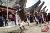Penari membawakan tarian penerima tamu pada prosesi upacara kematian Rambu Solo di Desa Ba'tan, Kesu, Toraja Utara, Sulsel, Jumat (19/12). Upacara Rambu Solo merupakan ritual adat sebagai penghormatan terakhir sekaligus mengantarkan orang tercinta yang telah meninggal dunia menuju ke alam puya atau alam baka. ANTARA FOTO/Dewi Fajriani/wdy/14.