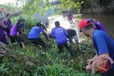 Banjarbaru, para karyawan Dinas Sosial dan Tenaga Kerja Kota Banjarbaru mengadakan bakti sosial membersikan sungai Kemuning, agar laju air sungai tidak terhambat saat musim hujan tiba.Kepala Dinas Sosial dan Tenaga Kerja Kota Banjarbaru Drs H Hilman mengatakan bakti sosial tersebut dibantu Tagana, pekerja sosial masyarakat, tenaga sosial kecamatan, karang taruna yang ada di Banjarbaru, Sabtu (20/12).Foto Antaranews Kalsel/humas/e)