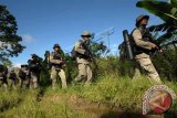 Dua Regu Pasukan Brimob bersenjata lengkap melakukan pengejaran terhadap terduga kelompok sipil bersenjata di sekitar gunung Patingkea desa Tamadue, Kecamatan Lore Timur, Kabupaten Poso, Sulawesi Tengah, Senin (29/12). Mereka melakukan penyisiran guna mencari persembunyian kelompok Santoso cs yang sebelumnya telah menembak mati seorang warga sipil pencari Damar yakni, Garataudu (51) dan menyandera Harun Tobimbi (39) atas laporan saksi mata Viktor Polaba (32) yang berhasil melarikan diri saat kejadian tersebut. ANTARA FOTO/Zainuddin MN/wdy/14.