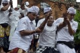 Sejumlah umat Hindu dalam kindisi kesurupan menari dalam tradisi "Ngerebong" di Pura Dalem Pengrebongan, Kota Denpasar, Bali, Minggu (4/1). Ritual yang diwarnai kesurupan massal itu merupakan upacara penyucian alam untuk menetralisir kekuatan negatif sekaligus menciptakan keharmonisan. ANTARA FOTO/Wira Suryantala/nym/ed/mes/15.