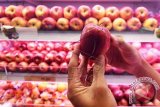Dinkes Mamuju Sidak Pedagang Buah