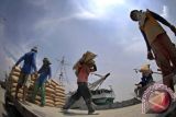 Pengusaha Pelayaran Keluhkan Pungutan KSOP Sampit 