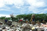 Lamongan (Antara Jatim)- Pemulung mengais sampah plastik di Tempat Pembuangan Akhir (TPA) sampah Tambakrigadung, Lamongan, Jawa Timur, Kamis (15/1). Dinas Cipta Karya, Tata Ruang dan Kebersihan Kabupaten Lamongan mengatakan permasalahan sampah di Kabupaten itu akan segera terselesaikan dengan akan beroperasinya Pembangkit Listrik Tenaga Sampah (PLTS) yang mempunyai kapasitas mengolah sampah sekitar empat ton perjam. FOTO/Syaiful Arif/15/Oka. 