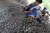 Kediri (Antara Jatim) - Seorang buruh pemecah batu saat melakukan aktivitas pemecahan batu kali secara tradisional di Desa Pojok, Kediri, Jawa Timur, Sabtu (17/1). Buruh pemecah batu kali (batu koral) tersebut menjual batu koral Rp4.000 perkeranjang. Batu koral hasil tempat tersebut biasanya diambil pengepul dari wilayah Surabaya. (FOTO Rudi Mulya/15/edy)