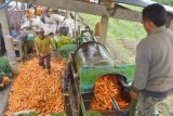 Magetan (Antara Jatim) - Pekerja mencuci wortel dengan mesin di tempat pencucian worte di Desa Dadi, Kec. Plaosan, Magetan, Kamis (29/1). Bagi petani dan bakul yang tidak memiliki alat pencuci atau tidak mau repot mencuci di sungai. Di wilayah tersebut ada sejumlah mesin cuci wortel dengan ongkos Rp4 ribu/kuintal. FOTO Siswowidodo/15/Oka.