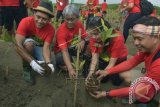 Direktur Utama PT. Pertamina Dwi Soetjipto (kedua kiri) bersama VP Corporate Secretary PT. Pertamina Ali Mundakir (kanan), Duta Lingkungan Hidup Nugie (kiiri) dan Artis Tia Ariestia (kedua kanan) menanam pohon mangrove di Pantai Mertasari, Bali, Jumat (13/2). PT Pertamina (Persero) terus berupaya melakukan pelestarian hutan dan kawasan mangrove di Indonesia dimana saat ini telah menanam sekitar 88 juta pohon dan lebih dari 2 juta pohon diantaranya adalah mangrove. ANTARA FOTO/Saptono/wdy/15.