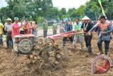 Buapti Banajr Sultan H.Khairul Saleh mencoba taktor tangan yang berfungsi untuk mengolah tanah sebelum dilakukan penyemaian bibit padi di Kecamatan Karang Intan, Martapura, Senin (23/2). Untuk wilayah luasan tanam, pada tahun 2015 ini Kabupaten Banjar sudah menyiapkan 80.000 Ha dengan target produksi 325.920 Ton/Ha untuk padi, 1.100 Ha dengan target produksi 4.802 Ton/ Ha untuk jagung, dan 3.500 Ha dengan target produksi 4.536 Ton/ Ha untuk kedelai.(Foto Antaranews Kalsel/humas/e)