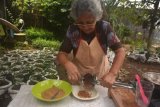 Jember (Antara Jatim) - Regina Ita Rubiantini melakukan proses pembuatan abon dari ikan lele di rumah industri 