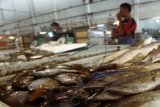 Ikan Dingkis Imlek/Joko Sulistyo