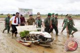 Menteri Pertanian Amran Sulaiman, Pangdam VI Mulawarman Mayjen TNI Benny Indra Pujihastono, Wakil Gubernur Kalsel Rudy Resnawan dan Bupati Arifin Arpan menanam padi bersama menggunakan mesin di areal persawahan desa Timbaan kabupaten Tapin, Senin (6/3). Dari 60.368 hektar lahan pertanian di kabupaten Tapin hanya 3.806 hektar yang di aliri dari irigasi. Foto Antaranews Kalsel/Herry Murdy Hermawan