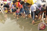 Relawan Jaringan Kuala bersama murid sekolah melepaskan tukik di pantai wisata Ujung Pancu, Aceh besar, Aceh, Selasa (24/3). Dalam tahun 2015, sedikit 300 ekor tukik di lepas di pantai Aceh Besar dengan melibatkan murid sekolah sebagai upaya pelestarian dan sekaligus memberikan pendidikan kepada anak sekolah. ANTARAACEH.COM/Ampelsa/15
