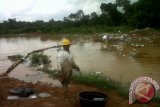 Kades: Sungai Kurup tercemar limbah Minaga Ogan