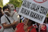 Seorang penyayang anjing membawa poster dan anjing peliharaannya saat berkampanye anti perdagangan daging anjing di Denpasar, Bali, Sabtu (4/4). Dalam kegiatan 'Global March' tersebut para penyayang binatang menyerukan untuk menghentikan pembantaian anjing dan kucing untuk makanan di berbagai daerah di Indonesia dan di beberapa negara lain. ANTARA FOTO/Nyoman Budhiana/i018/2015.