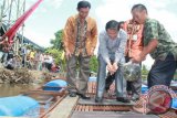 Bupati Hulu Sungai Tengah (HST) H Harun Nurasid melepas ikan tawar paket bantuan perikanan kepada kelompok Budidaya Ikan (Pokdakan) Harapan Jaya Desa Samhurang Kecamatan Labuan Amas Utara (LAU), HST, di desa Samhurang. Jum’at (10/4). Paket bantuan perikanan tersebut hasil kerjasama  antara Kantor Perwakilan Bank Indonesia Kalimantan Selatan dengan pemkab HST, tentang program pengembangan Klaster Budidaya Ikan Air tawar di HST.
 