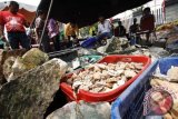 Festival Gemstone Makassar hadirkan kontes batu lokal 