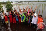 BPLH Matra Tanam Mangrove di Ekowisata PT Letawa