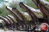 Objek Wisata Unggulan Toraja Utara Bersolek