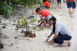 KolaborAKSI WWF Indonesia, Earth Hour Lampung dan Indorunners Tanam 2.000 Mangrove