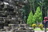 Kediri, (Antara Jatim) - Seorang pengunjung mengamati struktur bangunan candi peninggalan jaman Majapahit di Desa Tegowangi,  Kecamatan Plemahan, Kabupaten Kediri,  Sabtu (4/4).  Menurut Kitab Pararaton Candi Tegowangi  merupakan tempat pendharmaan Bhre Matahun, sedangkan dalam Kitab Negara Kertagama Bhre Matahun meninggal tahun 1310 C (1388 Masehi). Foto Rifo Yulda/SHP

