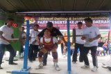 <br />
<br />
Samosir, 23/4 - ANGKAT BARBEL. Maria Magdalena, atlet angkat berat kelas 63 Kg dari Kota Medan, mencoba mengangkat barbel seberat 160 Kg pada Kejurda PABBSI yang didakan di komplek Hotel Dainang Pangururan, Kabupaten Samosir, Kamis. Kejurda dengan tuan rumah Kabupaten Samosir berlangsung 23-25 April 2015, diikuti 25 atlet putra putri dari berbagai kabupaten/kota. (Foto Antarasumut/Waristo)