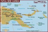 Virus Flu babi Afrika menyebar cepat di Papua Nugini