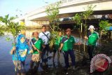 Para Pencinta lingkungan yang terdiri dari Forum Komonitas Hijau (FKH) Banjarmasin, Sahabat Bekantan Indonesia (SBI) Akademisi Unlam dan Wartawan Kantor Berita Indonesia ANTARA serta biodiversitas Indonesia foto bersama sebelum menananam bibit pohon rambai padi di Sungai Pangeran samping Jembatan kembar Simpang Tiga Kayu Tangi, Sabtu (30/5). Penanaman rambai padi (Sonneratia caseolaris) yang digagas FKH Banjarmasin itu menanam sebanyak 24 batang bertujuan untuk mengembalikan lagi tepi sungai yang rindang dengan pohon rambai makanan hewan khas Kalimantan bekantan.(Foto Antaranews Kalsel/Asmuni K/e)