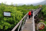 Pengunjung menikmati pemandangan hutan mangrove seluas 100 hektare dari atas jembatan pantau di dalam kawasan konservasi mangrove pesisir Pantai Cengkrong, Trenggalek, Jawa Timur, Sabtu (6/5). Pemerintah daerah setempat berencana mengembangkan paket wisata alam pesisir selatan untuk menarik wisatawan domestik maupun mancanegara yang berpotensi mendongkrak pendapatan asli daerah (PAD). Antara Jatim/Foto/Destyan Sujarwoko/15