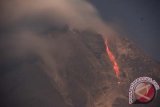 Guguran dari kuba lava Gunung Sinabung terlihat dari sekitar radius 7 KM, Karo, Sumatera Utara, Sabtu (6/6) dini hari. Kondisi kubah lava Gunung Sinabung diperkirakan meningkat menjadi lebih tiga juta meter kubik dan dalam kondisi labil, hal tersebut menyebabkan gunung itu berpotensi mengeluarkan guguran kubah yang diikuti awan panas guguran ke arah selatan dan tenggara dengan jangkauan diperkirakan sejauh tujuh kilometer. (ANTARA FOTO/Zabur Karuru)