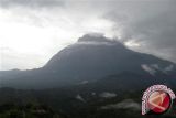 Pendaki paruh baya meninggal saat mendaki Gunung Kinabalu