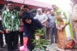 Menteri Kesehatan RI Nila F Moeloek melakukan penanaman pohon perdana di RSUD Bangka Tengah, Kepulauan Bangka Belitung, Selasa (6/9). (Foto Antara/Ahmadi)