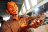 Seorang penjual Ikan memperlihatkan Ikan Gabus yang dijualnya dengan harga Rp45 ribu per kilogram, di Pasar Flamboyan, Pontianak, Kalbar, Senin (8/6). Ikan Gabus yang mudah ditemui di parit, danau atau sungai yang berarus tenang tersebut, memiliki kandungan protein Albumin yang sangat tinggi dibandingkan ikan lainnya hingga dipercaya memiliki khasiat dapat mengobati penyakit Stroke serta mempercepat penyembuhan luka bekas operasi. ANTARA FOTO/Jessica Helena Wuysang/15