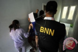 BNNP rilis gembong narkoba di Sapiria 