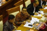 Menteri Pendidikan dan Kebudayaan (Mendikbud) Anis Baswedan (tengah) mengikuti rapat kerja dengan Komisi X DPR di Kompleks Parlemen, Jakarta, Rabu (10/6). Rapat kerja tersebut membahas perkembangan evaluasi kurikulum 2013 serta evaluasi pelaksanaan APBN tahun 2015 dan isu-isu terkait pendidikan dasar dan menengah. ANTARA FOTO/Hafidz Mubarak A./wdy/15