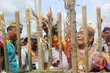 Kepala Adat Suku Dayak Wehea, Ledjie Taq, memasang sesaji ayam dan telur di atas bambu tajam sebagai pengusir roh jahat selama pelaksanaan Musyawarah Besar III Dayak Serumpun Kung Kemul di Kecamatan Muara Wahau, Kutai Timur, Kaltim, Sabtu (13/6). Musyawarah Besar Dayak Serumpun berlangsung 13-18 Juni 2015. (ANTARA Kaltim/Adi Sagaria/DK)