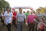 Jalan Sehat Hari Donor Darah