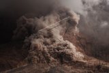 Awan panas guguran kubah lava meluncur dari puncak Gunung Sinabung di Karo, Sumatera Utara, Minggu (14/6). Gunung Sinabung yang berstatus Awas membuat sedikitnya 3000 jiwa harus dievakuasi dari desa tempat tinggal mereka yang terletak di sisi tenggara dan gunung tersebut. ANTARA FOTO/Rony Muharrman/ed/foc/15