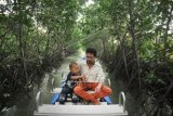 Pengunjung menikmati suasana Mangrove Park di kawasan, Desa Kandang Panjang, Pekalongan, Jawa Tengah, Kamis (18/6). Kawasan yang memiliki hutan bakau seluas 5,7 hektar itu merupakan wisata edukasi favorit bagi sebagian masyarakat sambil menunggu waktu berbuka puasa. ANTARA FOTO/Pradita Utama/ss/Spt/15