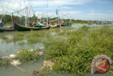 Sejumlah perahu ditambatkan di kawasan hutan mangrove, desa Padelegan, Pamekasan, Jatim, Sabtu (20/6). Data Dinas Perikanan dan Kelautan Jawa Timur  sekitar 13.000 hektare dari 85.000 bektare hutan mangrove di Jawa Timur mengalami kerusakan, sehingga perlu diadakan konservasi dan pelestarian. Antara Jatim/Foto/Saiful Bahri/15

