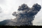 Material vulkanik disertai awan panas meluncur dari puncak Gunung Sinabung di Karo, Sumatera Utara, Kamis (25/6). Data Badan Geologi luncuran awan panas guguran kubah lava sejauh 4 km ke arah Tenggara-Timur dengan ketinggian kolom abu vulkanik 5 Km, diharapkan kepada semua pihak untuk tetap waspada dan tidak memasuki daerah bahaya. ANTARA FOTO/Rony Muharrman/Asf/nz/15.